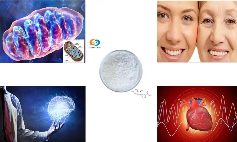 How does nicotinamide riboside compare to other vitamin B3 forms?